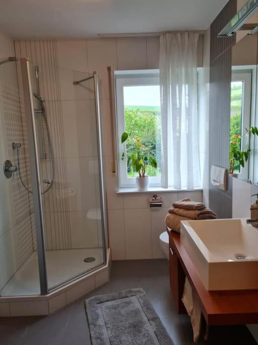Ferienwohnung Panoramablick Bad Mergentheim Zewnętrze zdjęcie